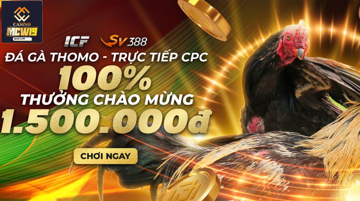 Giới thiệu về đá gà Mcw19